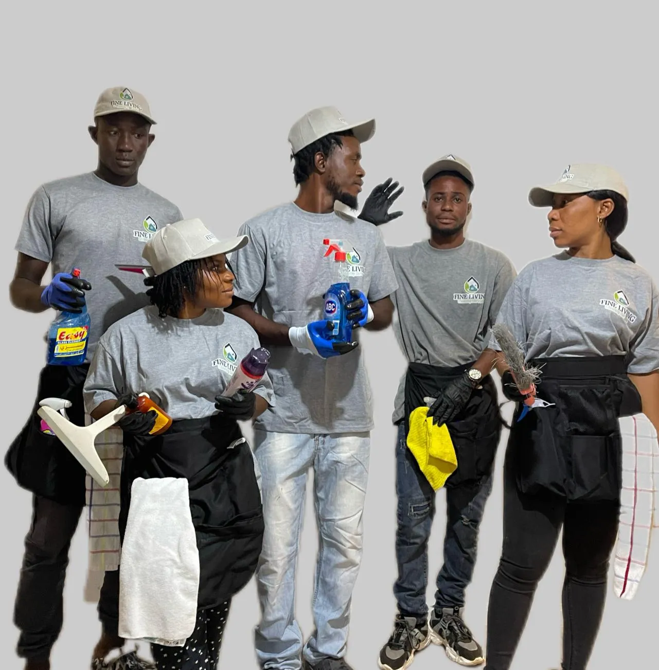 Fine Living Cleaning Services